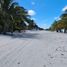 在Champoton, Campeche出售的 土地, Champoton