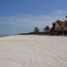  Land for sale in Champoton, Campeche, Champoton