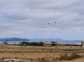  Land for sale in Montecristi, Manabi, Montecristi, Montecristi