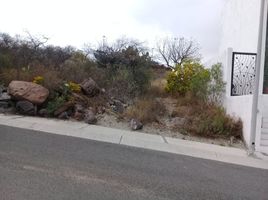  Grundstück zu verkaufen in El Marques, Queretaro, El Marques