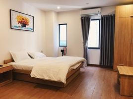 1 Phòng ngủ Căn hộ for rent in My Khe Beach, Mỹ An, Mỹ An