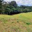  Land for sale in El Carmen De Viboral, Antioquia, El Carmen De Viboral