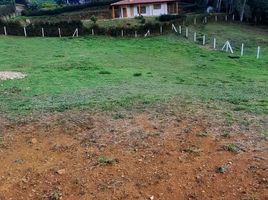  Land for sale in El Carmen De Viboral, Antioquia, El Carmen De Viboral