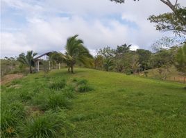 Studio Villa zu verkaufen in Capira, Panama Oeste, Santa Rosa, Capira