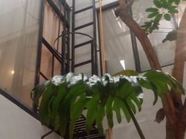 5 Habitación Casa en venta en Cuauhtemoc, Ciudad de México, Cuauhtemoc