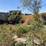  Terreno (Parcela) en venta en Iztapalapa, Ciudad de México, Iztapalapa