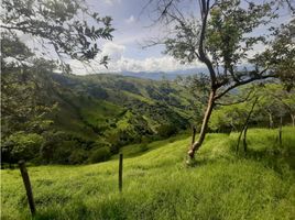 3 Habitación Villa en venta en Armenia, Antioquia, Armenia