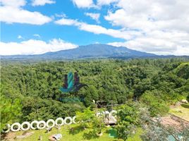 3 Schlafzimmer Haus zu verkaufen in Boquete, Chiriqui, Palmira