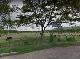  Land for sale in Palmira, Valle Del Cauca, Palmira