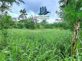  Terrain for sale in Panamá, Sortova, Bugaba, Chiriqui, Panamá