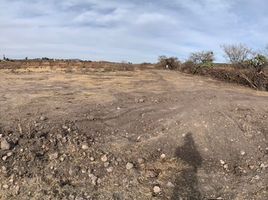  Land for sale in Union De San Antonio, Jalisco, Union De San Antonio