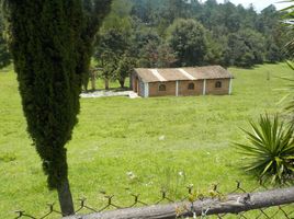 在Mexico出售的开间 别墅, Valle De Bravo, Mexico