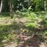  Land for sale in Selemadeg, Tabanan, Selemadeg