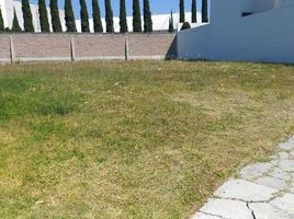  Land for sale in San Andres Cholula, Puebla, San Andres Cholula