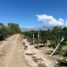  Grundstück zu verkaufen in San Carlos, Mendoza, San Carlos