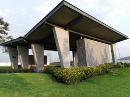  Grundstück zu verkaufen in Zapopan, Jalisco, Zapopan