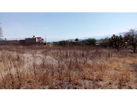  Land for sale in Juchitlan, Jalisco, Juchitlan