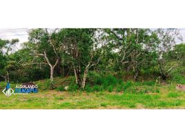  Land for sale in Bajo Boquete, Boquete, Bajo Boquete