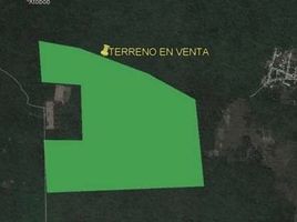  Land for sale in Merida, Yucatan, Merida, Yucatan