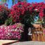 5 Bedroom House for sale in Petatlan, Guerrero, Petatlan