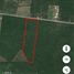  Land for sale in Muxupip, Yucatan, Muxupip