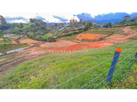 Terrain à vendre à Marinilla, Antioquia, Marinilla