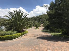  Terreno (Parcela) en venta en Tumbaco, Pichincha, Tumbaco