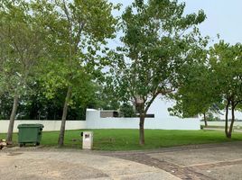  Land for sale in Cunduacan, Tabasco, Cunduacan