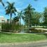  Land for sale in Cunduacan, Tabasco, Cunduacan