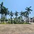  Land for sale in Cunduacan, Tabasco, Cunduacan