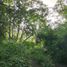 Terrain à vendre à Othon P Blanco, Quintana Roo, Othon P Blanco