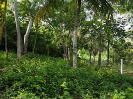 Terrain à vendre à Othon P Blanco, Quintana Roo, Othon P Blanco