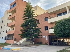 Condominium 3 chambre à vendre à San Luis Potosi, San Luis Potosi, San Luis Potosi, San Luis Potosi