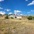  Land for sale in Gran Morelos, Chihuahua, Gran Morelos