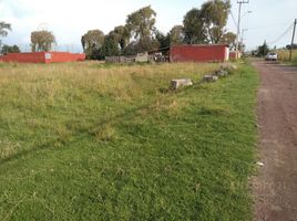  Grundstück zu verkaufen in Otzolotepec, Mexico, Otzolotepec
