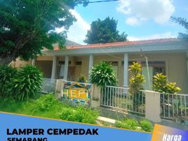 6 Bedroom Villa for sale in Bawen, Semarang, Bawen