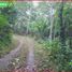  Land for sale in Selemadeg, Tabanan, Selemadeg