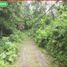  Land for sale in Selemadeg, Tabanan, Selemadeg