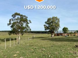  Terreno (Parcela) en venta en Junin, San Luis, Junin