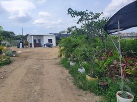  Terreno (Parcela) en venta en Samborondón, Guayas, Samborondon, Samborondón