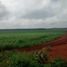  Land for sale in Hopelchen, Campeche, Hopelchen