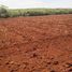 Land for sale in Hopelchen, Campeche, Hopelchen