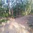  Land for sale in Bayat, Klaten, Bayat