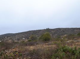  Land for sale in Punilla, Cordoba, Punilla