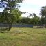  Land for sale in San Fernando City, Ilocos, San Fernando City, La Union
