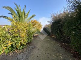  Terreno (Parcela) en venta en Melipilla, Santiago, Melipilla, Melipilla