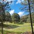 Land for sale in Galeana, Nuevo Leon, Galeana
