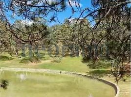  Land for sale in Galeana, Nuevo Leon, Galeana