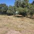  Land for sale in Omitlan De Juarez, Hidalgo, Omitlan De Juarez