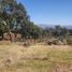  Land for sale in Omitlan De Juarez, Hidalgo, Omitlan De Juarez